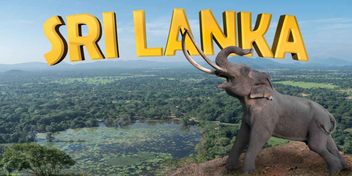 Your Ultimate Guide to Traveling Through Sri Lanka with the Right Visa